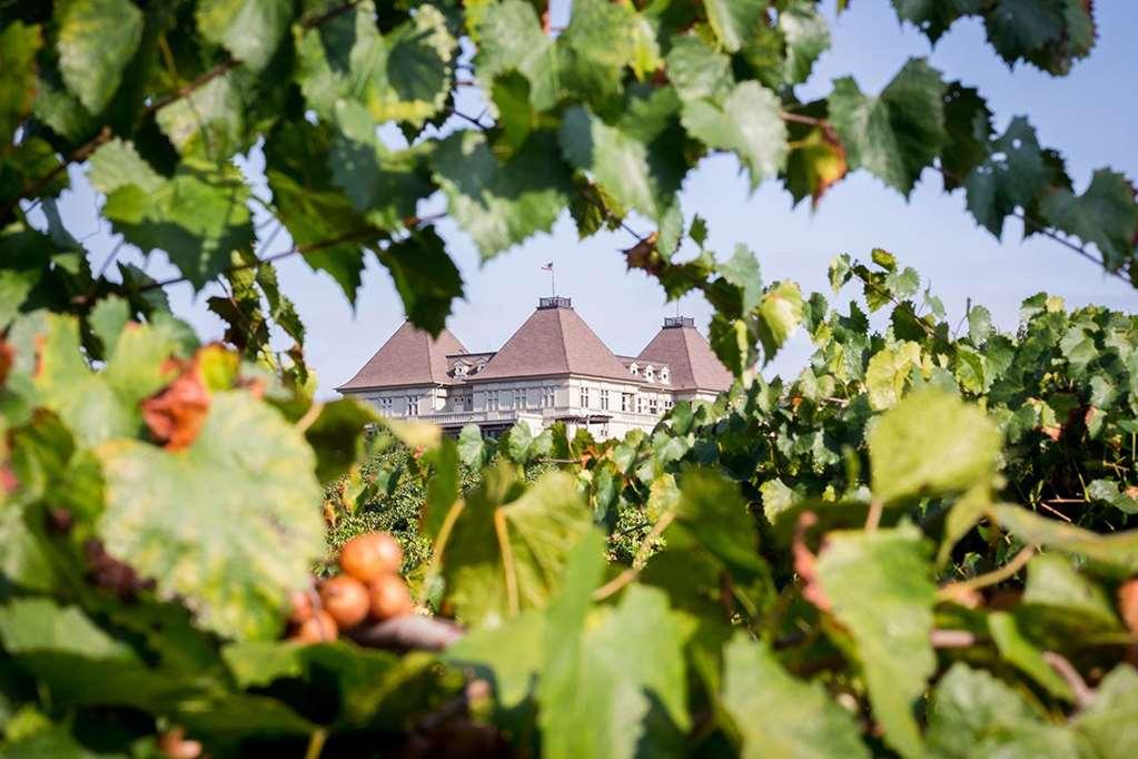 Chateau Elan Winery Врейзелтн Екстер'єр фото