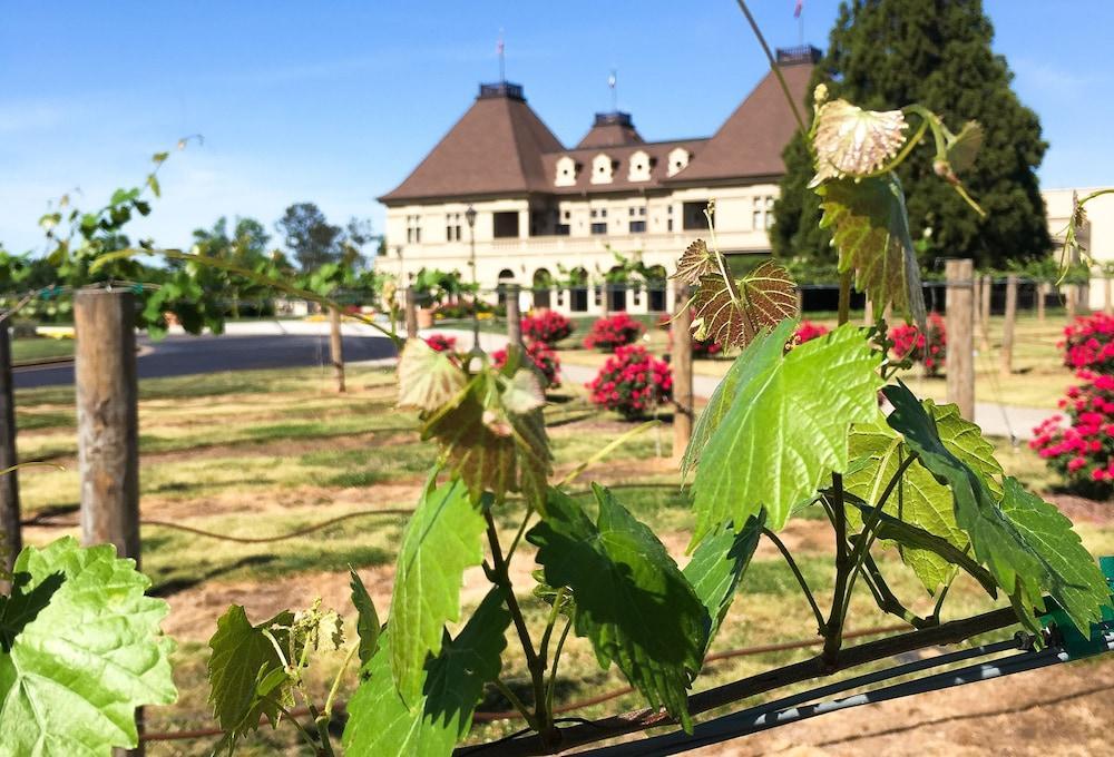 Chateau Elan Winery Врейзелтн Екстер'єр фото